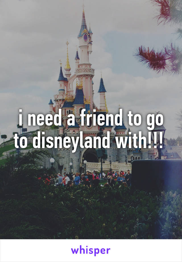 i need a friend to go to disneyland with!!! 