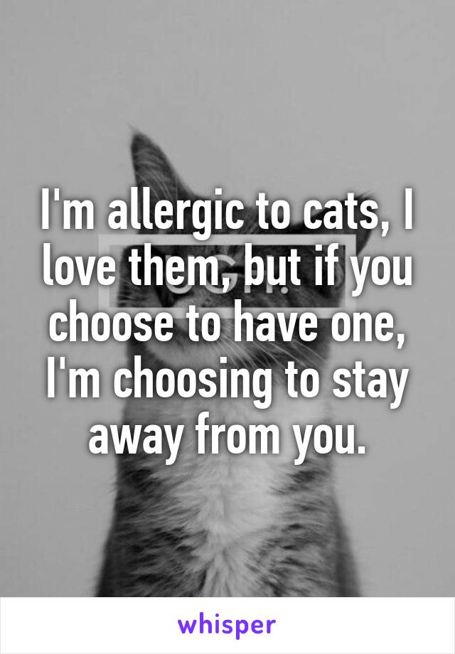 I'm allergic to cats, I love them, but if you choose to have one, I'm choosing to stay away from you.