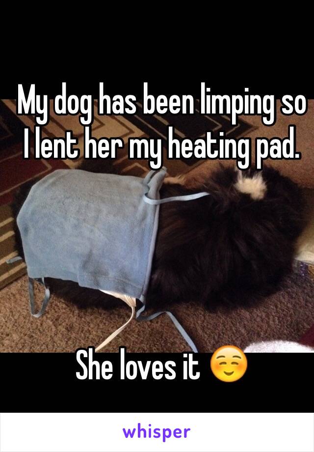 My dog has been limping so I lent her my heating pad.




She loves it ☺️

