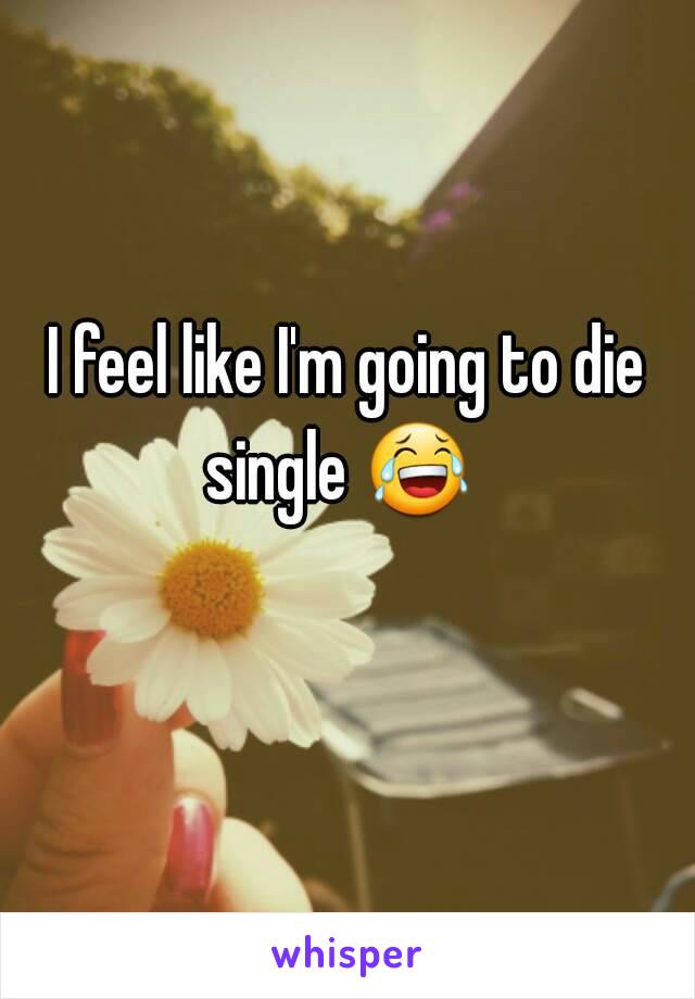 I feel like I'm going to die single 😂   