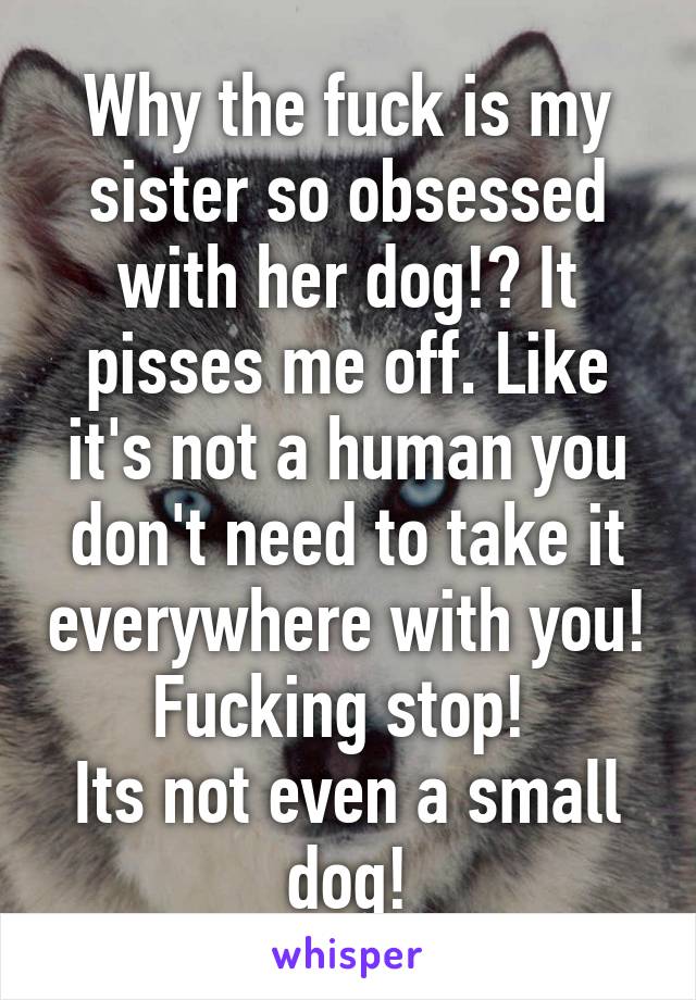 Why the fuck is my sister so obsessed with her dog!? It pisses me off. Like it's not a human you don't need to take it everywhere with you! Fucking stop! 
Its not even a small dog!