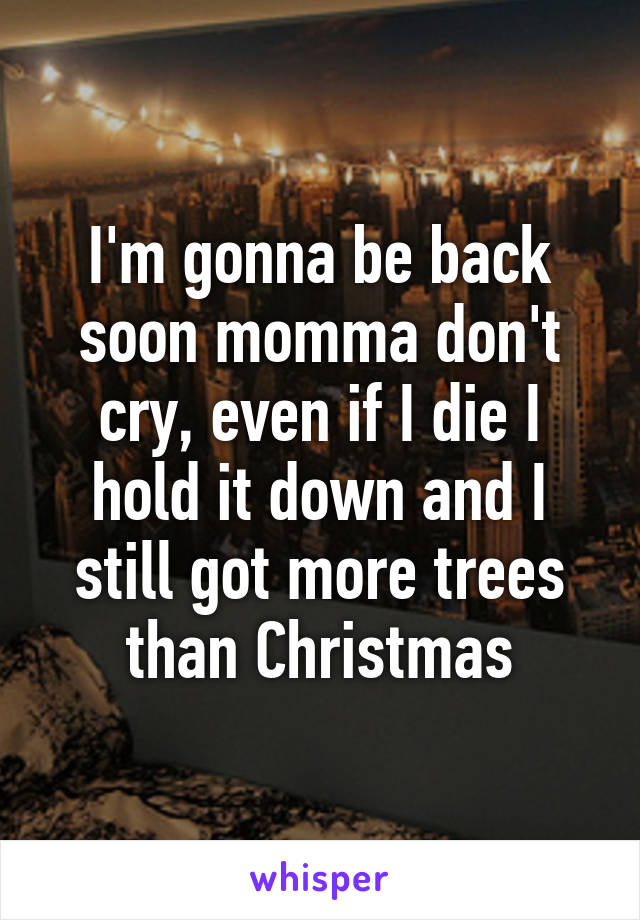 I'm gonna be back soon momma don't cry, even if I die I hold it down and I still got more trees than Christmas