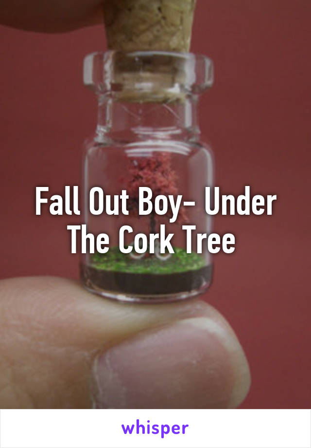 Fall Out Boy- Under The Cork Tree 