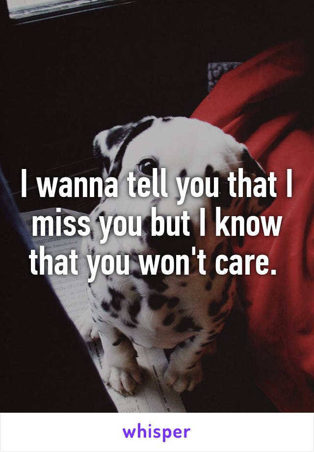 I wanna tell you that I miss you but I know that you won't care. 