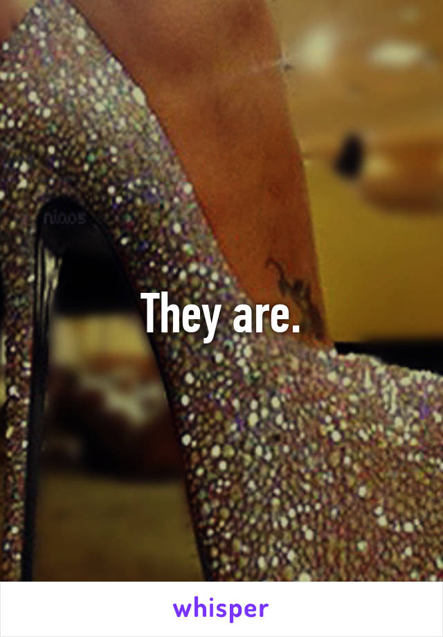 They are.