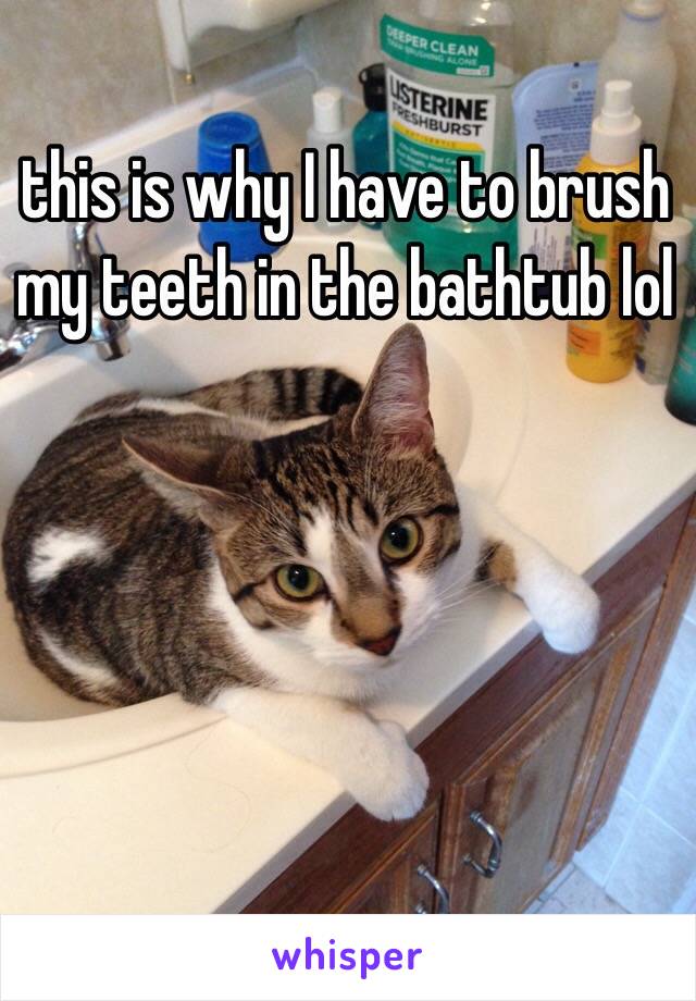 this is why I have to brush my teeth in the bathtub lol