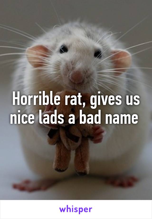 Horrible rat, gives us nice lads a bad name 