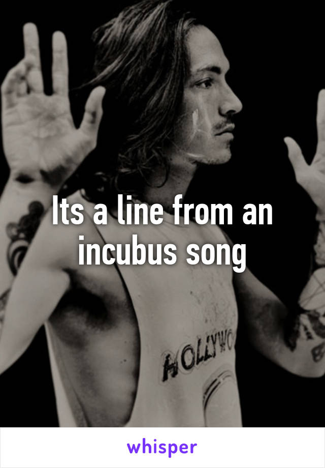 Its a line from an incubus song