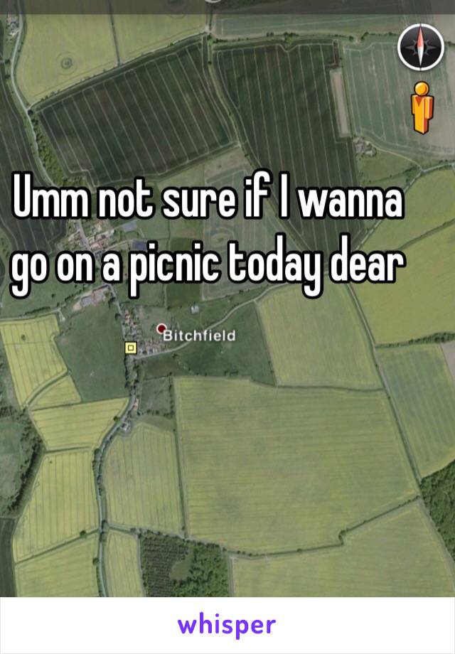 Umm not sure if I wanna go on a picnic today dear