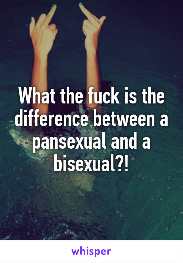 What the fuck is the difference between a pansexual and a bisexual?!