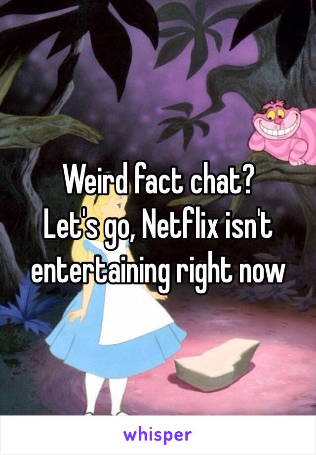 Weird fact chat?
Let's go, Netflix isn't entertaining right now 