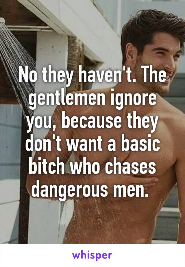 No they haven't. The gentlemen ignore you, because they don't want a basic bitch who chases dangerous men. 