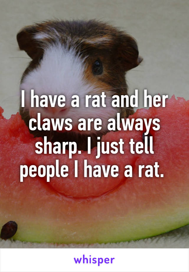 I have a rat and her claws are always sharp. I just tell people I have a rat. 