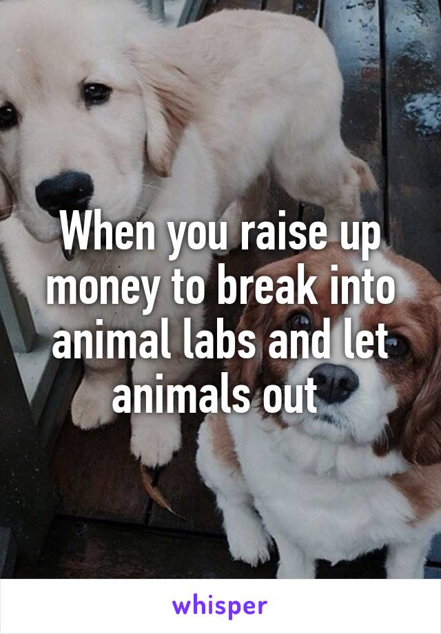 When you raise up money to break into animal labs and let animals out 