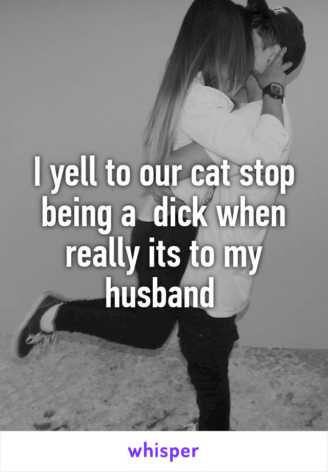 I yell to our cat stop being a  dick when really its to my husband 