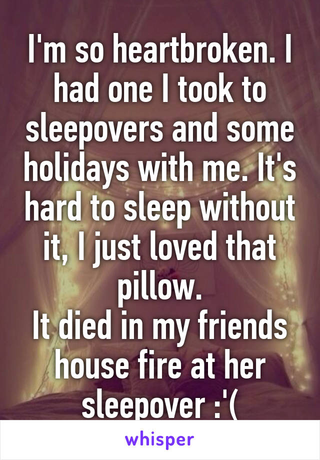 I'm so heartbroken. I had one I took to sleepovers and some holidays with me. It's hard to sleep without it, I just loved that pillow.
It died in my friends house fire at her sleepover :'(