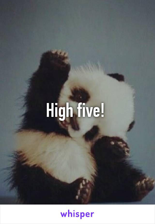 High five! 