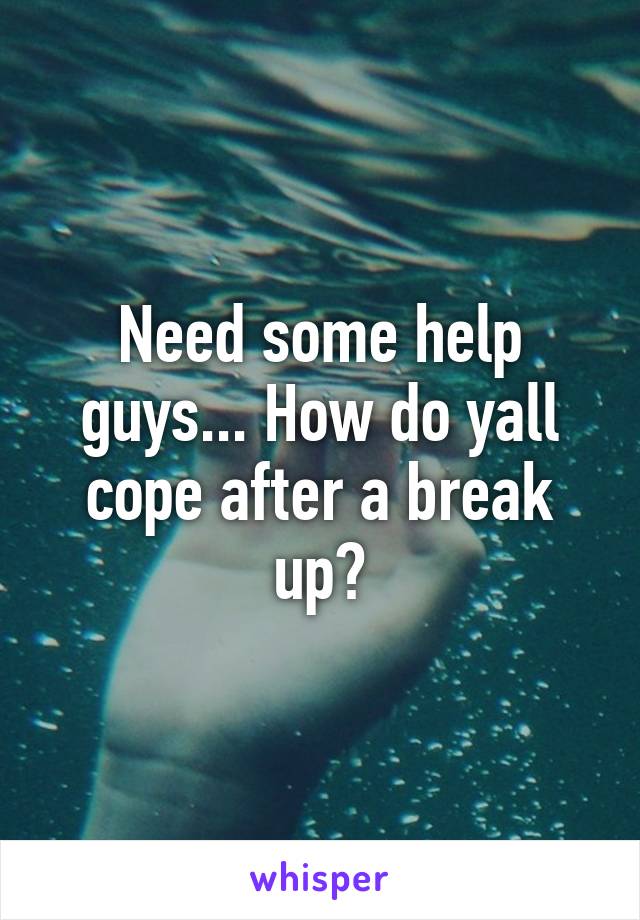 Need some help guys... How do yall cope after a break up?