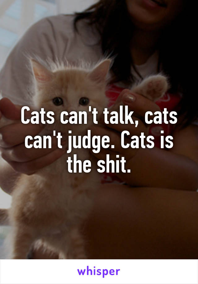 Cats can't talk, cats can't judge. Cats is the shit.