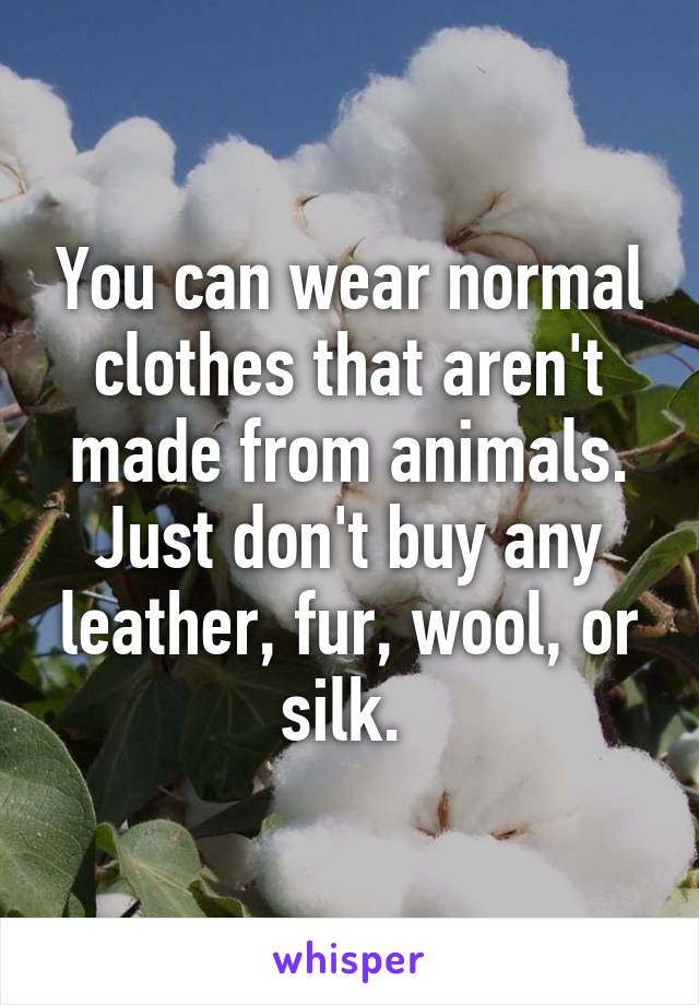 You can wear normal clothes that aren't made from animals. Just don't buy any leather, fur, wool, or silk. 