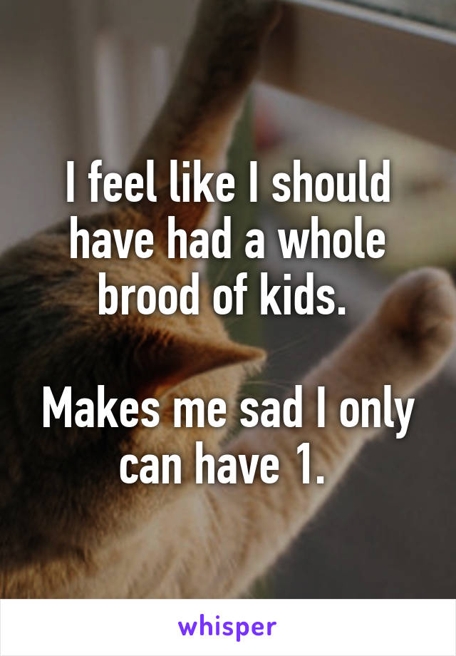 I feel like I should have had a whole brood of kids. 

Makes me sad I only can have 1. 