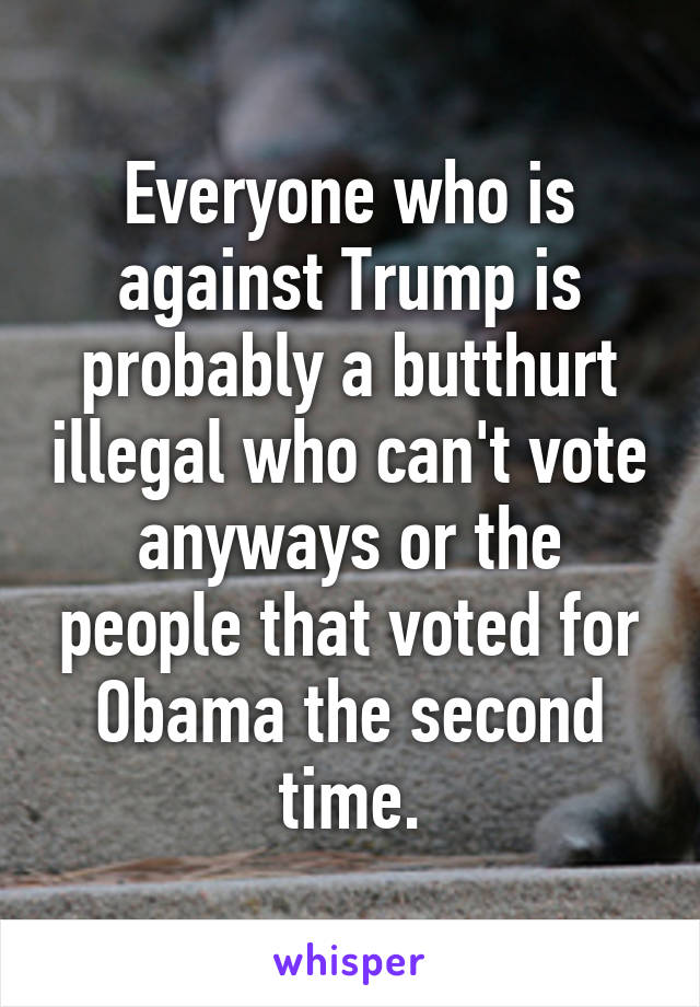 Everyone who is against Trump is probably a butthurt illegal who can't vote anyways or the people that voted for Obama the second time.