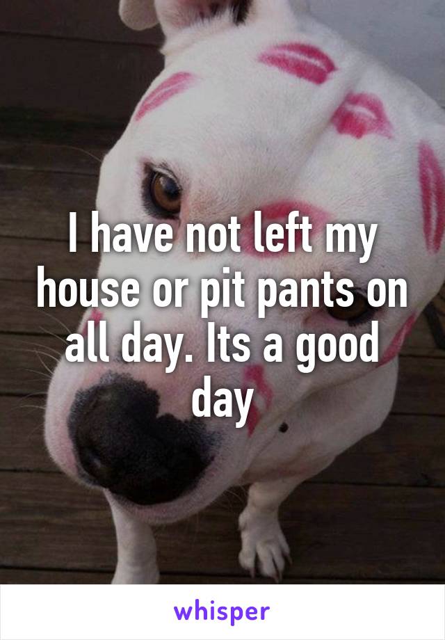 I have not left my house or pit pants on all day. Its a good day