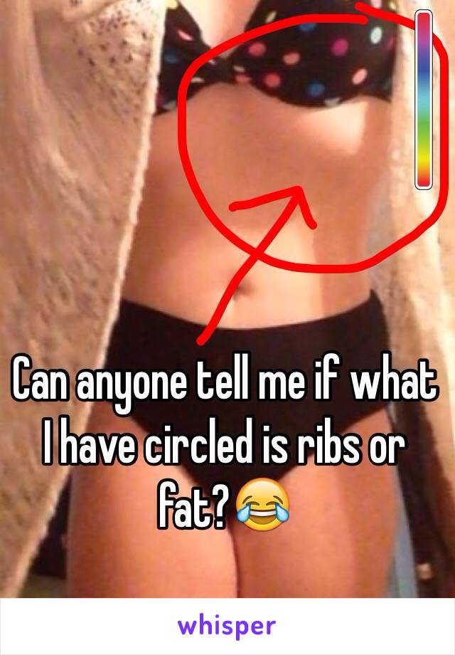 Can anyone tell me if what I have circled is ribs or fat?😂