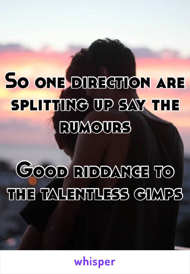 So one direction are splitting up say the rumours 

Good riddance to the talentless gimps 