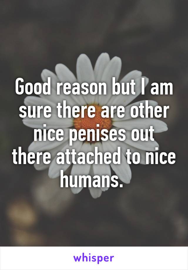 Good reason but I am sure there are other nice penises out there attached to nice humans. 