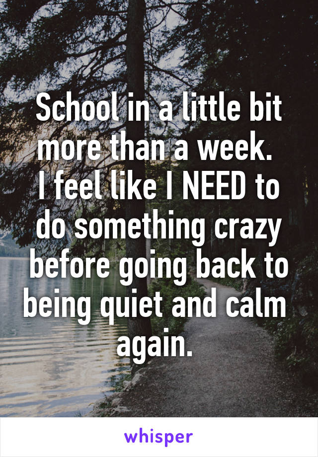 School in a little bit more than a week. 
I feel like I NEED to do something crazy before going back to being quiet and calm  again. 