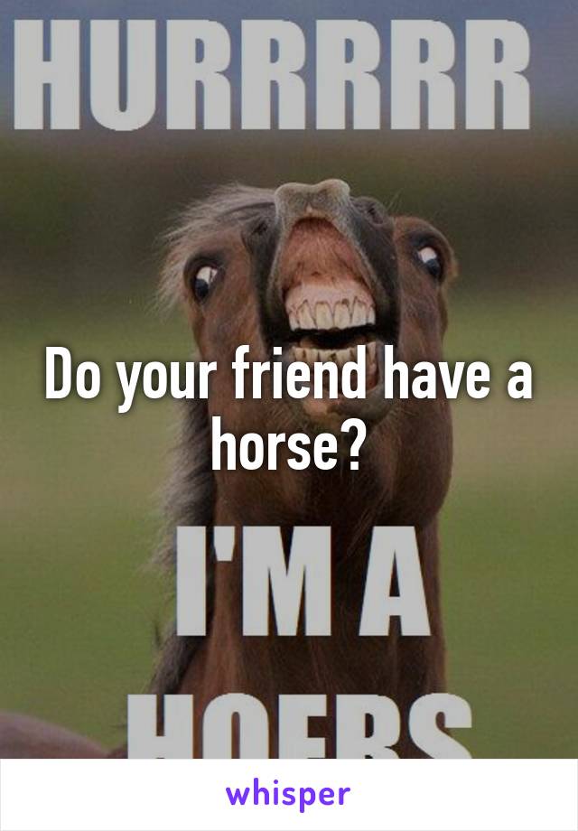 Do your friend have a horse?