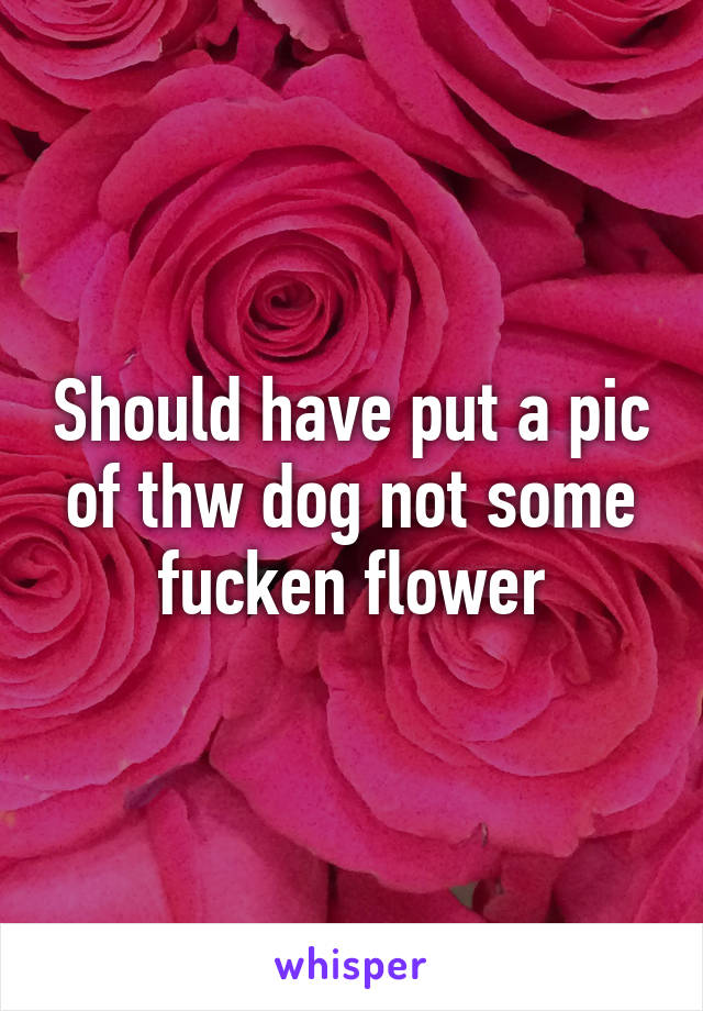 Should have put a pic of thw dog not some fucken flower