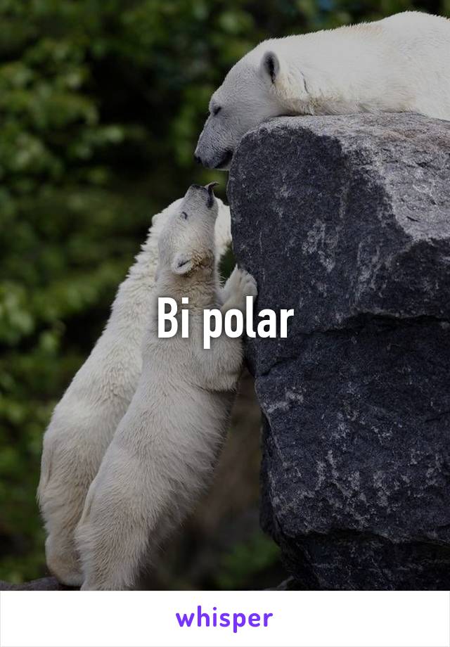 Bi polar