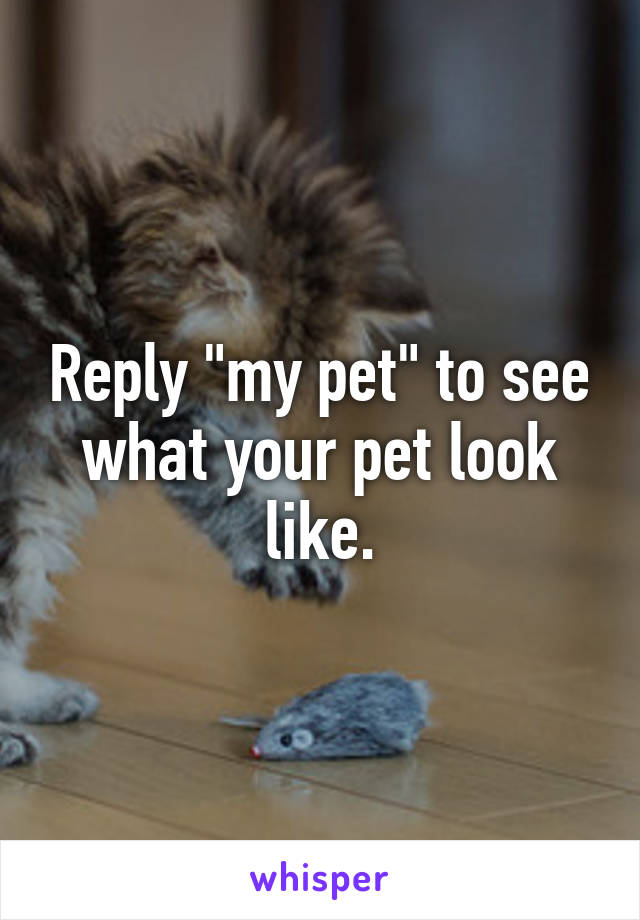 Reply "my pet" to see what your pet look like.