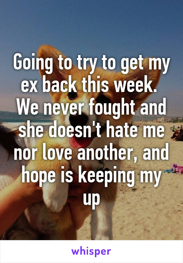 Going to try to get my ex back this week.  We never fought and she doesn't hate me nor love another, and hope is keeping my up