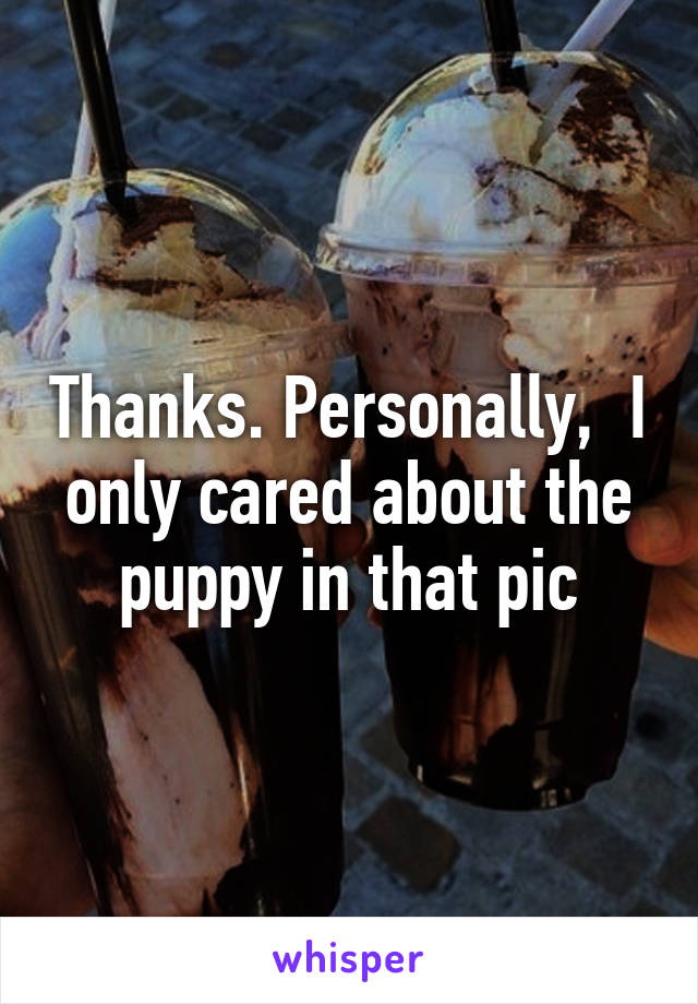 Thanks. Personally,  I only cared about the puppy in that pic