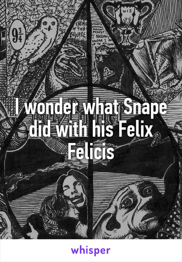 I wonder what Snape did with his Felix Felicis