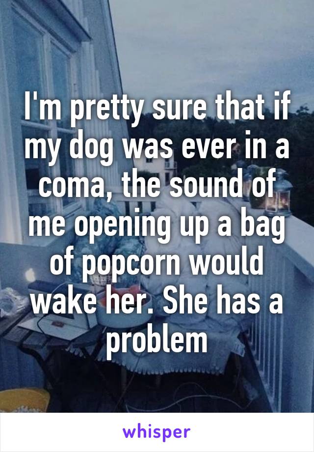 I'm pretty sure that if my dog was ever in a coma, the sound of me opening up a bag of popcorn would wake her. She has a problem