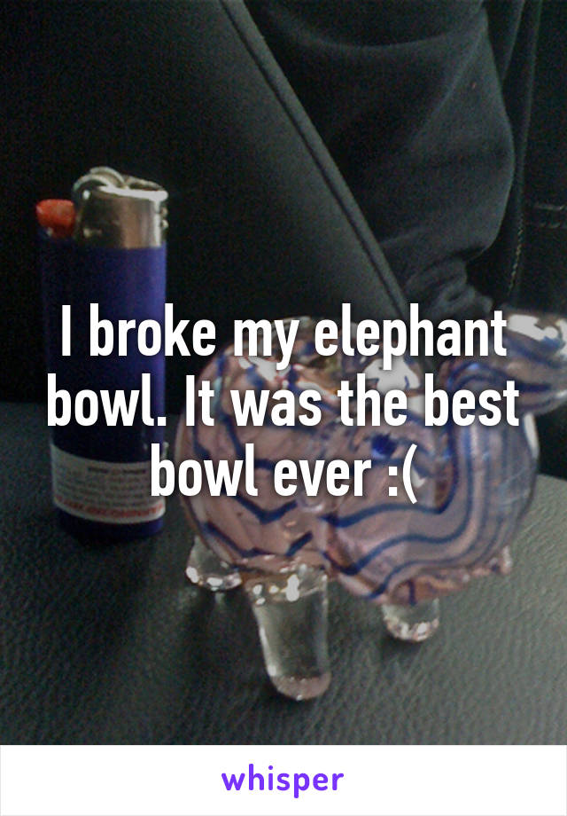 I broke my elephant bowl. It was the best bowl ever :(