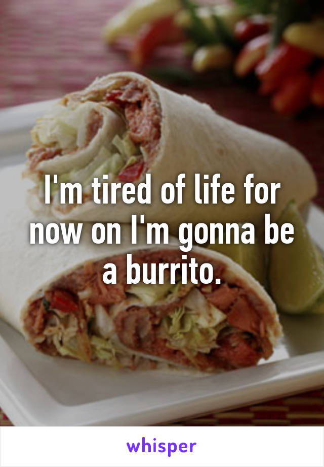 I'm tired of life for now on I'm gonna be a burrito.