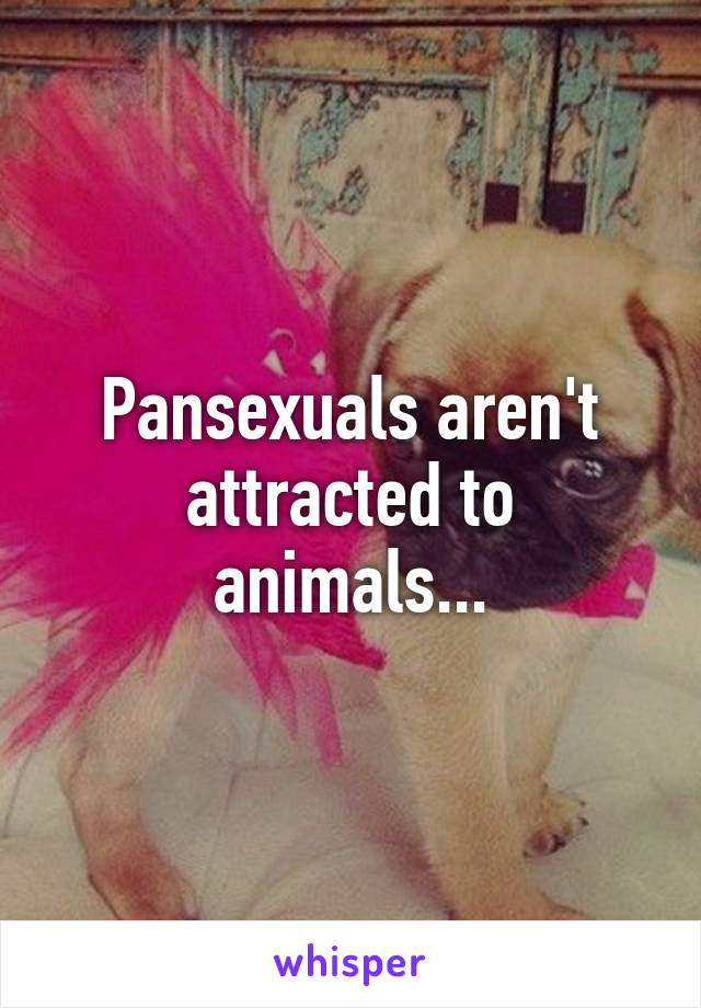 pansexuals-aren-t-attracted-to-animals