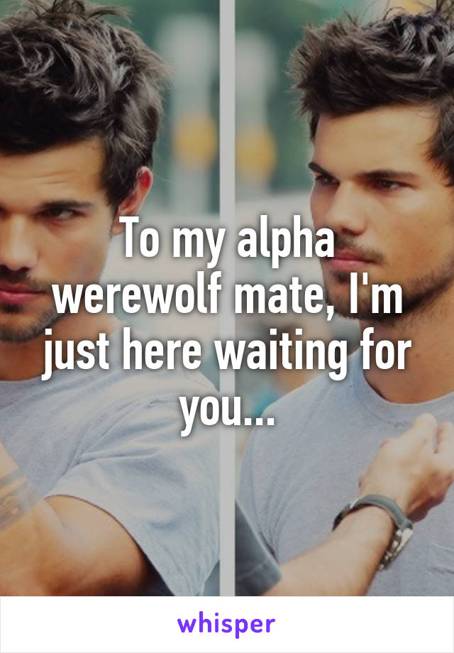 To my alpha werewolf mate, I'm just here waiting for you...