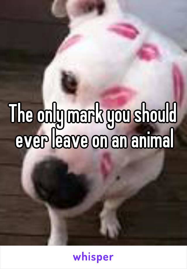 The only mark you should ever leave on an animal