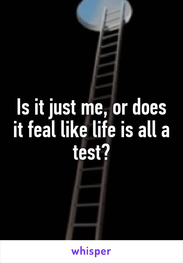 Is it just me, or does it feal like life is all a test?