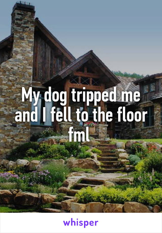 My dog tripped me and I fell to the floor fml 