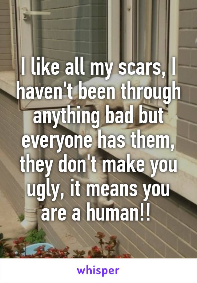 I like all my scars, I haven't been through anything bad but everyone has them, they don't make you ugly, it means you are a human!! 