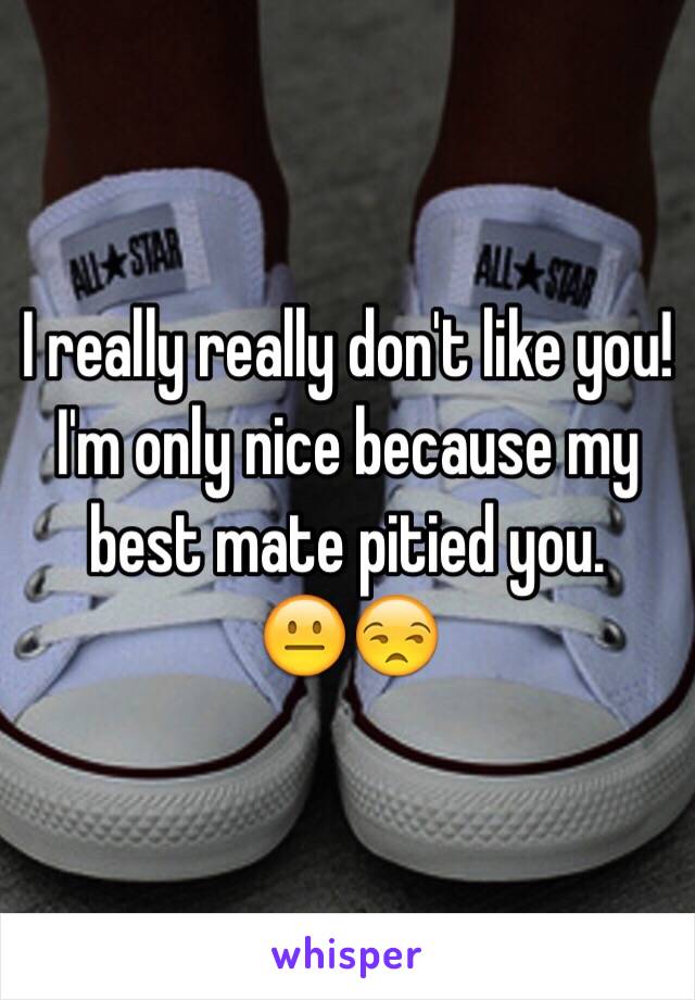 I really really don't like you!
I'm only nice because my best mate pitied you.
😐😒