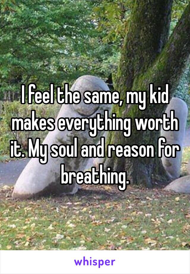 I feel the same, my kid makes everything worth it. My soul and reason for breathing.