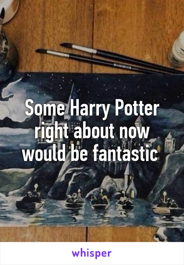 Some Harry Potter right about now would be fantastic 